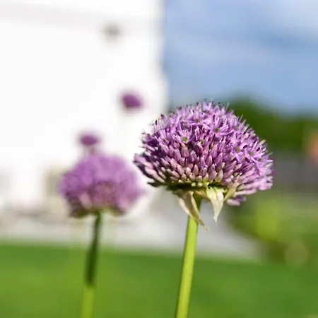 Sielanka